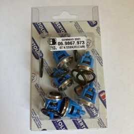 Ремкомплект клапанов Bertolini KIT123 (для TM/RAL)