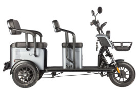 Трицикл электрический Wanshida UM+ (60V, 1000W, серый)