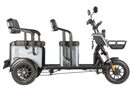 Трицикл электрический Wanshida UM+ (60V, 1000W, серый) (0000314-3100)