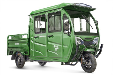 Трицикл электрический Rutrike Рейс 1300 60V1200W (зеленый)