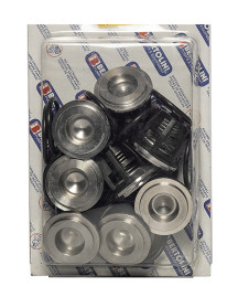 Ремкомплект Bertolini KIT (клапаны, нерж, SS Poly 2120/50)