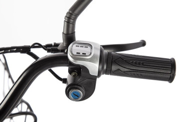 Электровелосипед GREEN CITY e-ALFA new (серебристый)