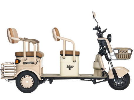Трицикл электрический Rutrike Атлас (зеленый) (026353-3258)