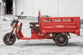 Трицикл электрический Rutrike Антей Pro 1500 60V1200W (серый)