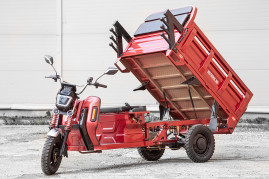 Трицикл электрический Rutrike Антей Pro 1500 60V1200W (серый)