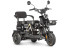 Трицикл электрический Wanshida UN MOTO (60V, 650W, черный) (0000285-3102)