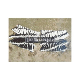 Щетка универсальная для TK58 PRO, TK58 PRO HYDRO 