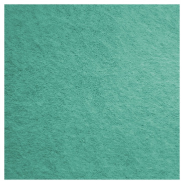 Салфетка TTS FREE-T (38х40см, зеленый, 1шт)