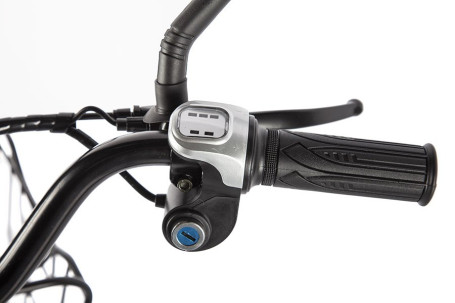 Электровелосипед GREEN CITY e-ALFA new (красный)