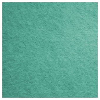 Салфетка TTS FREE-T (38х40см, зеленая, 1шт)