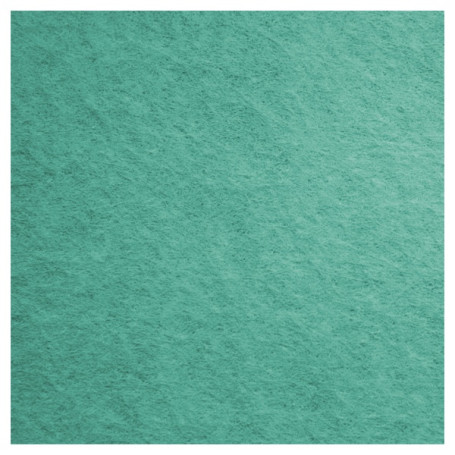 Салфетка TTS FREE-T (38х40см, зеленая, 1шт)