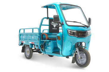 Трицикл электрический Rutrike Глобус NEXT 1500 (60V, 1200W, синий)