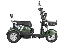 Трицикл электрический Rutrike Шкипер (зеленый)