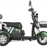 Трицикл электрический Rutrike Шкипер (зеленый)