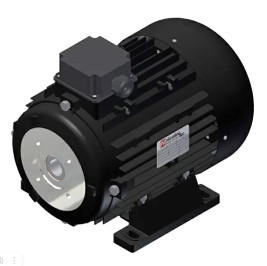 Электродвигатель Nicolini (5.5кВт, 380В, 1450об/мин, п.в. 24мм, Dфл 75мм, H112)