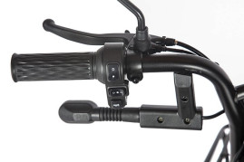 Трицикл электрический Rutrike Караван (красный)