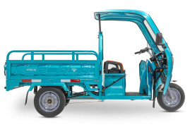 Трицикл электрический Rutrike Глобус NEXT 1500 (60V, 1200W, темно-зеленый)