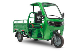 Трицикл электрический Rutrike Глобус NEXT 1500 (60V, 1200W, темно-зеленый)