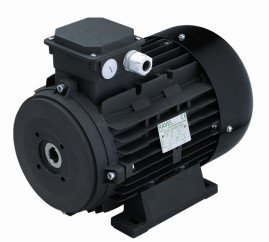 Электродвигатель RAVEL 1609A (7.5кВт, 380В, 1450об/мин, п.в. 24мм, Dфл 87мм, ,H132S)