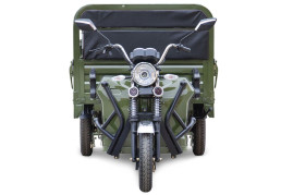 Трицикл электрический Rutrike D4 NEXT PRO 1800 (зеленый)