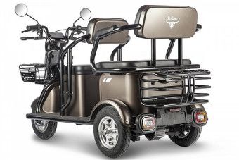 Трицикл электрический Rutrike Караван (коричневый)