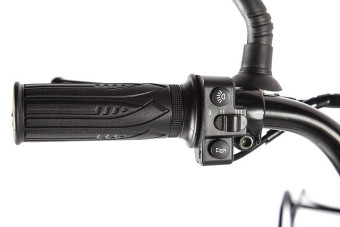 Электровелосипед GREEN CITY e-ALFA Fat (серый)