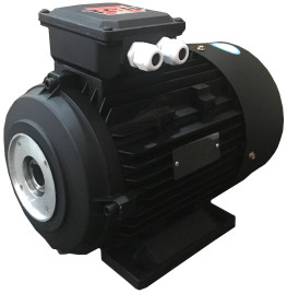 Электродвигатель TOR 14441 (7.5кВт, 380В, 1450об/мин, п.в. 24мм, Dфл 87мм, H132)