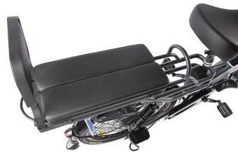 Электровелосипед GREEN CITY e-ALFA GL (черный)