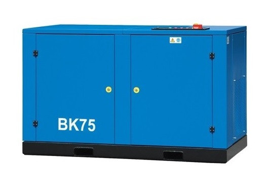 Компрессор винтовой Remeza BK75-8(10/13/15)ВС