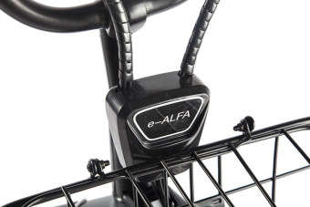 Электровелосипед GREEN CITY e-ALFA GL (серебристый)