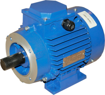 Электродвигатель УралЭлектро IMM 112 N4Y2 (5.5кВт, 1450об/мин)