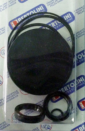 Ремкомплект Bertolini KIT101 (уплотнители, C35/40)