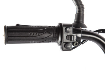 Электровелосипед GREEN CITY e-ALFA GL (коричневый)