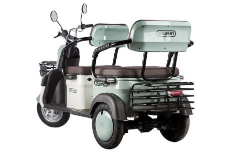 Трицикл электрический Rutrike Gelbert Beta (48/60V, 800W, бежевый)