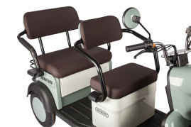 Трицикл электрический Rutrike Gelbert Beta (48/60V, 800W, сине-белый)