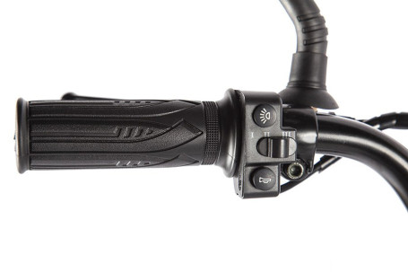 Электровелосипед GREEN CITY e-ALFA GL (сине-серый матовый)