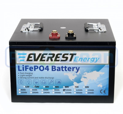 Аккумуляторная батарея Everest Energy (24В, 100Ач, LiFePO4, Bluetooth)