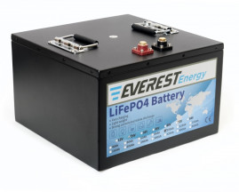 Тяговый аккумулятор Everest Energy (24В, 100Ач, LiFePO4, Bluetooth)