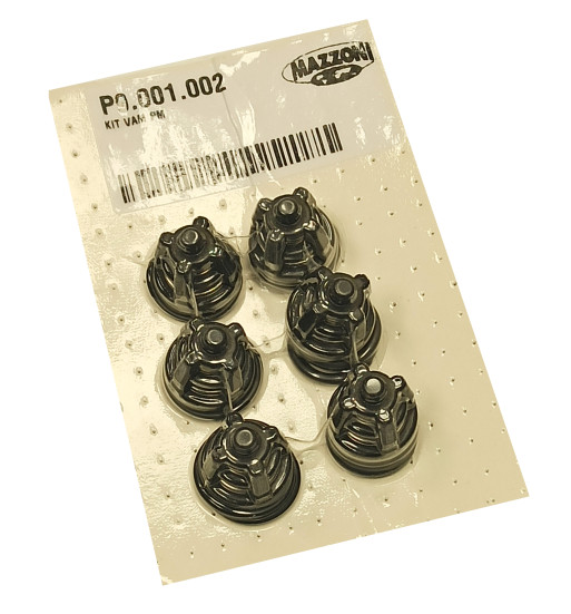 Комплект клапанов Mazzoni насоса PM (6 шт.)