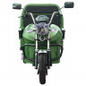 Трицикл электрический Rutrike Вояж К1 1200 60V800W (зеленый)