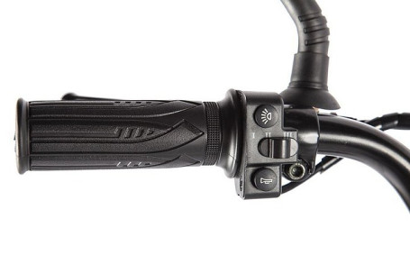 Электровелосипед GREEN CITY e-ALFA LUX (серебристый)