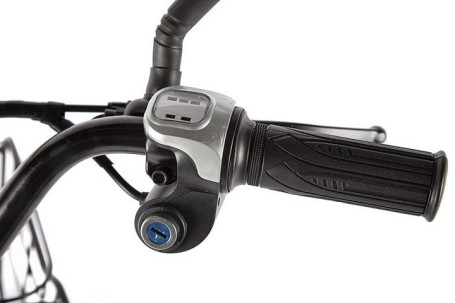 Электровелосипед GREEN CITY e-ALFA LUX (коричневый)