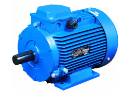 Электродвигатель УралЭлектро АДМ 100 L4Y2 (4кВт, 1410об/мин)