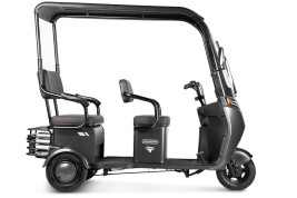 Трицикл электрический Rutrike Gelbert Bos (48/60V, 800W, черный)