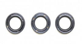 Ремкомплект Bertolini KIT111 (сальн. плунжеров, C75)