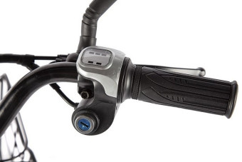 Электровелосипед GREEN CITY e-ALFA LUX (красный)