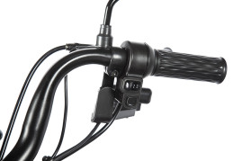 Трицикл электрический Rutrike Пилот (черный)