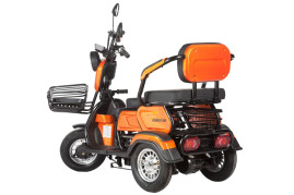 Трицикл электрический Rutrike Gelbert Caf (48/60V, 600W, красный)