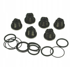 Комплект клапанов AR (для насосов серии AR , 1409050 + 620030 + 540361, 6шт)