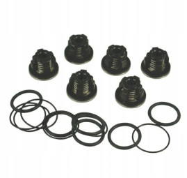 Комплект клапанов AR (для насосов серии AR ,  1409050 + 620030 + 540361, 6шт)